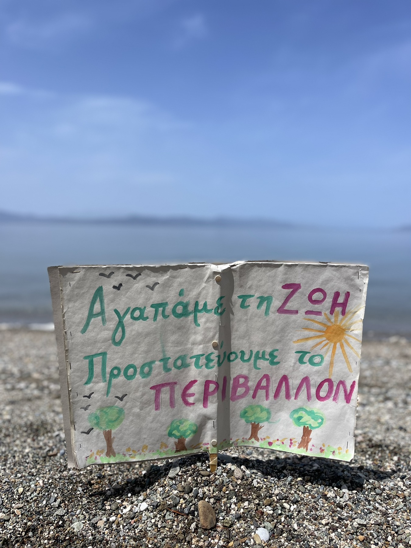 εικόνα Viber 2024-06-05 14-52-21-495